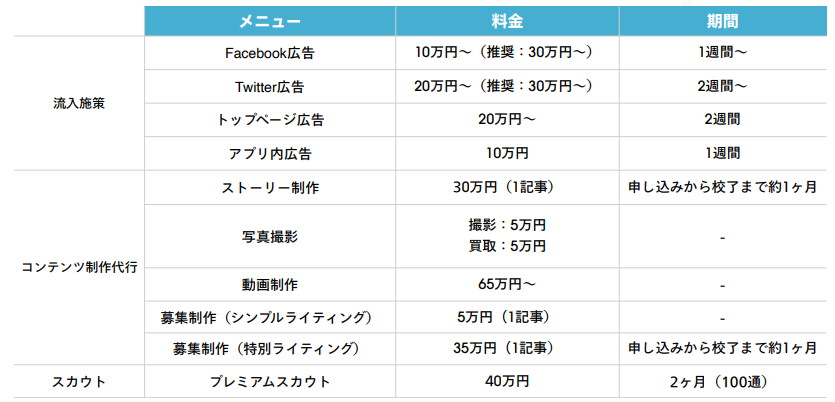 ウォンテッドリーのオプション料金プラン